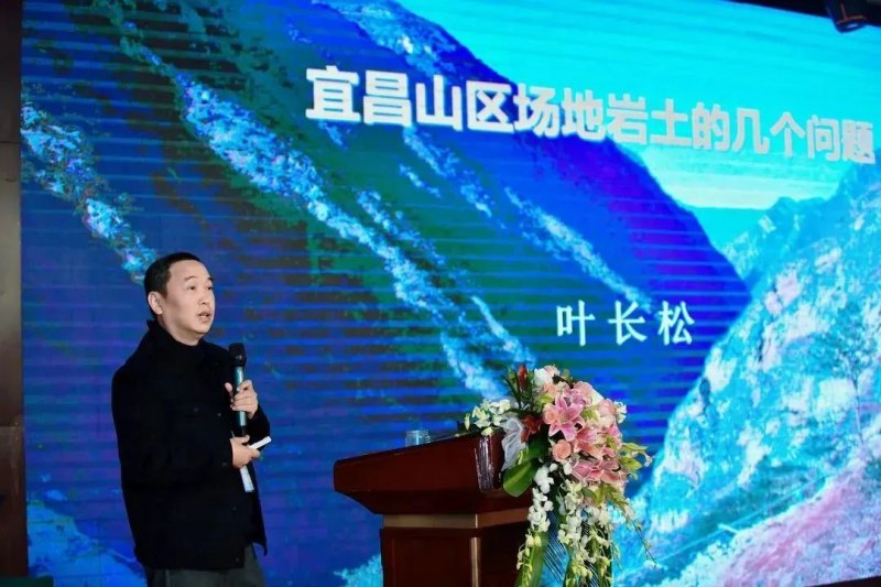 图片8