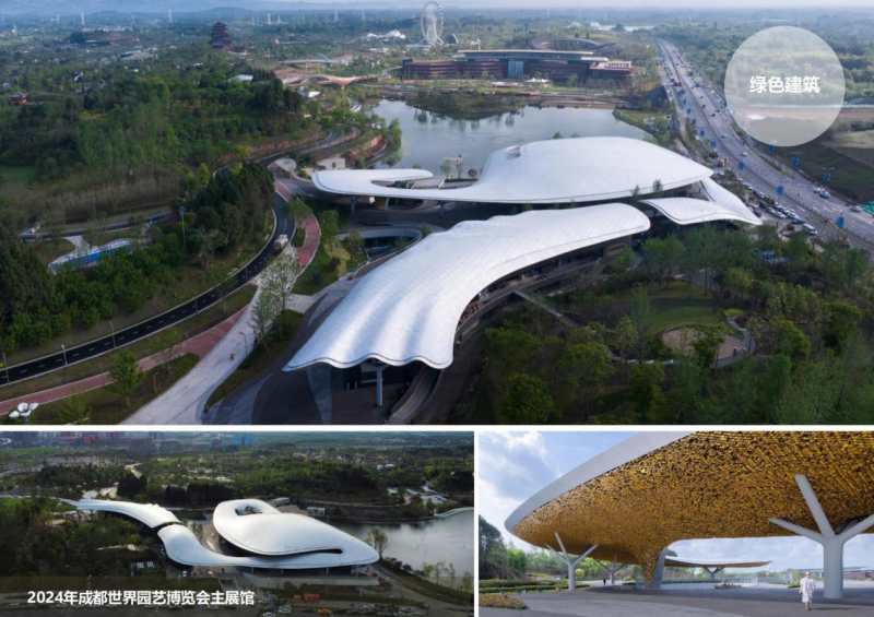 图片15